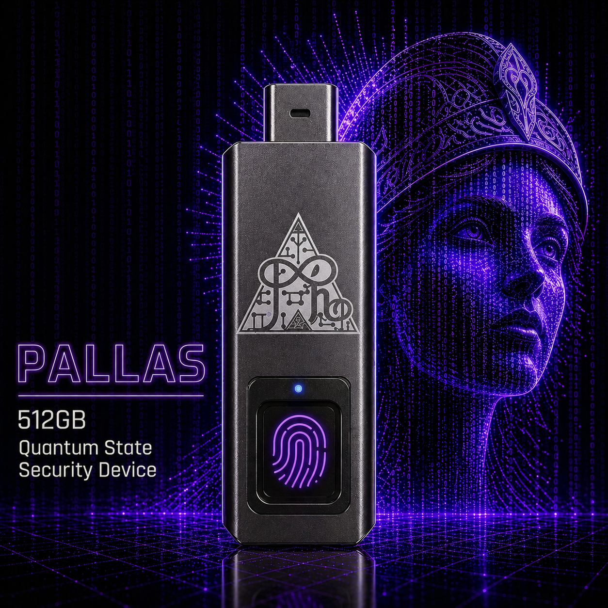 PALLAS 512GB